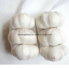 Chinese Normal White Garlic, Pure White Garlic Price